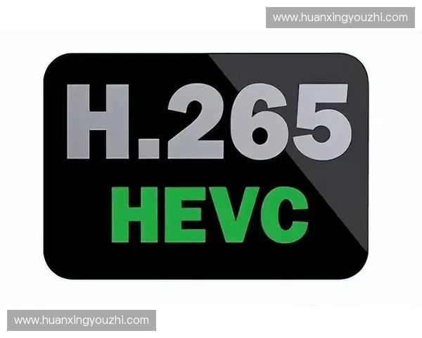 H.266编码标准：极致缩减海外粉丝内容获取时延。